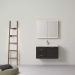 Kingsley Federation Wall Hung PVC Cabinet LK-FK94LW-MB