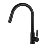 Black Pull-Out Kitchen Mixer
