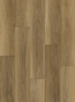 Northen Spotted Gum - Image 2