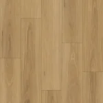 Pacific Blackbutt