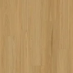 Blackbutt Light