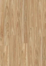 Smooth Blackbutt