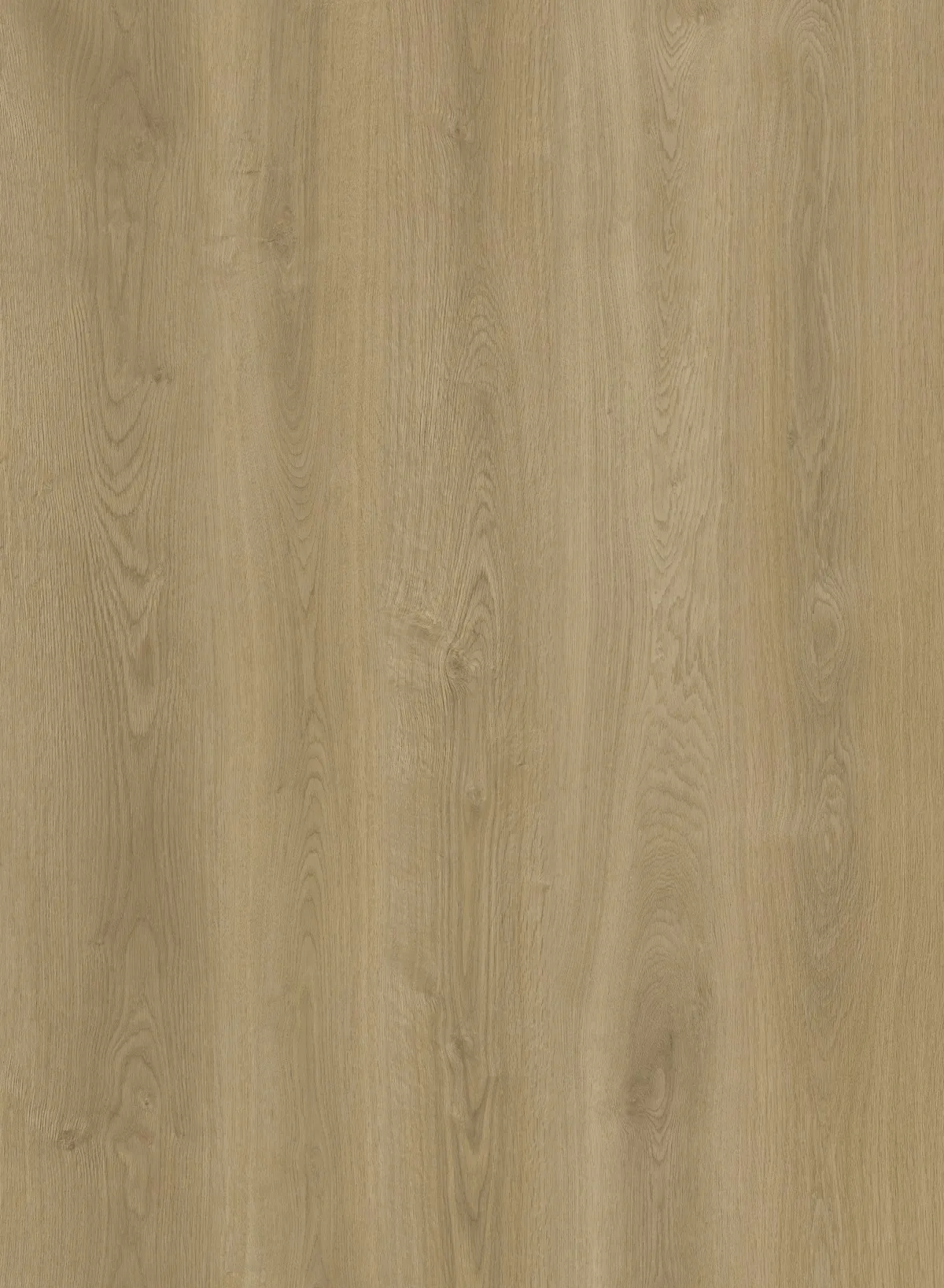Sparrow-Swatch- Sparrow - Image 1