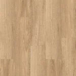 Spotted Gum Light