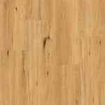 Coastal Blackbutt