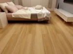 Highland Spotted Gum - Image 2