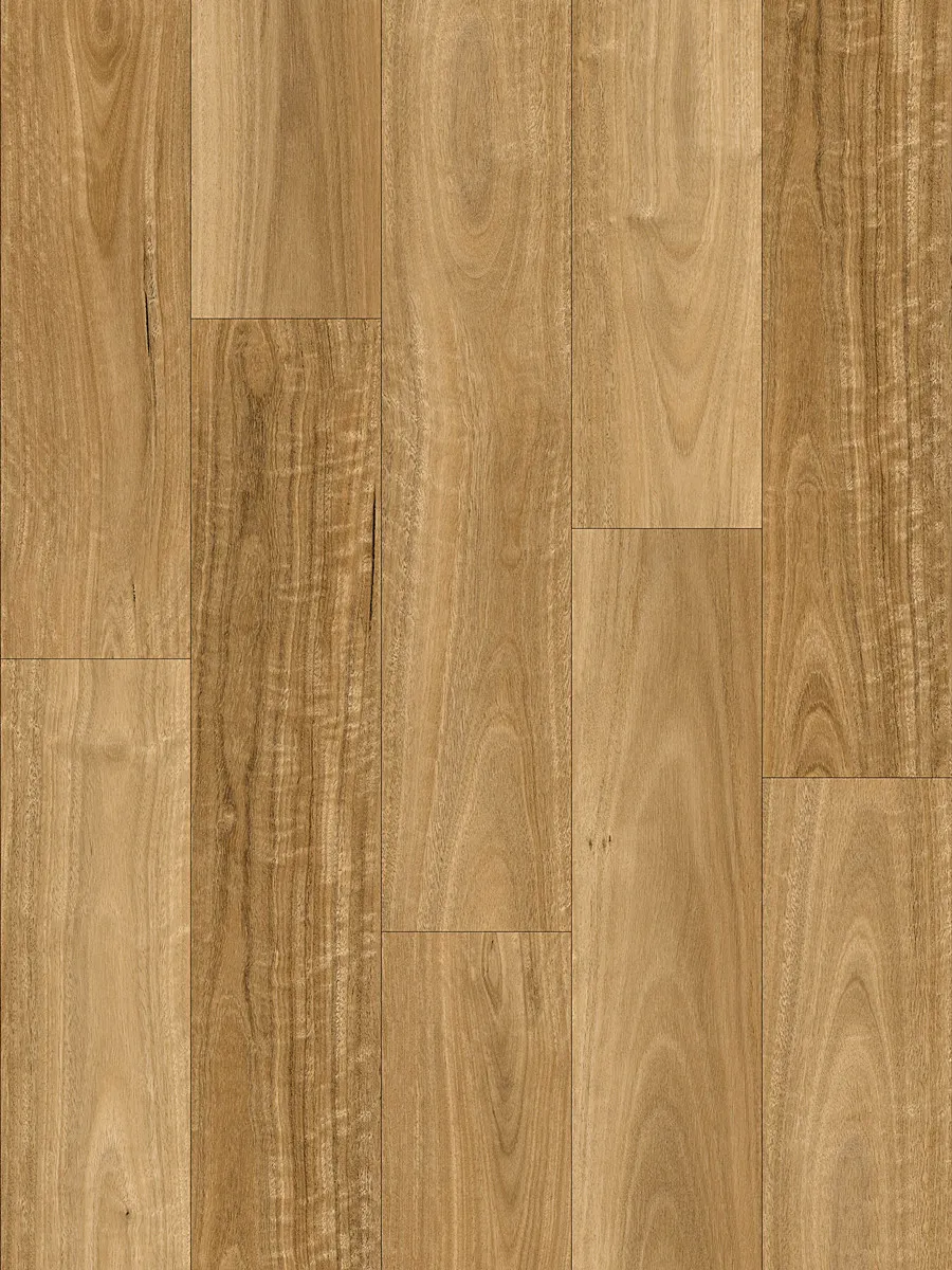highland-spotted-gum-web-swatch Highland Spotted Gum - Image 1
