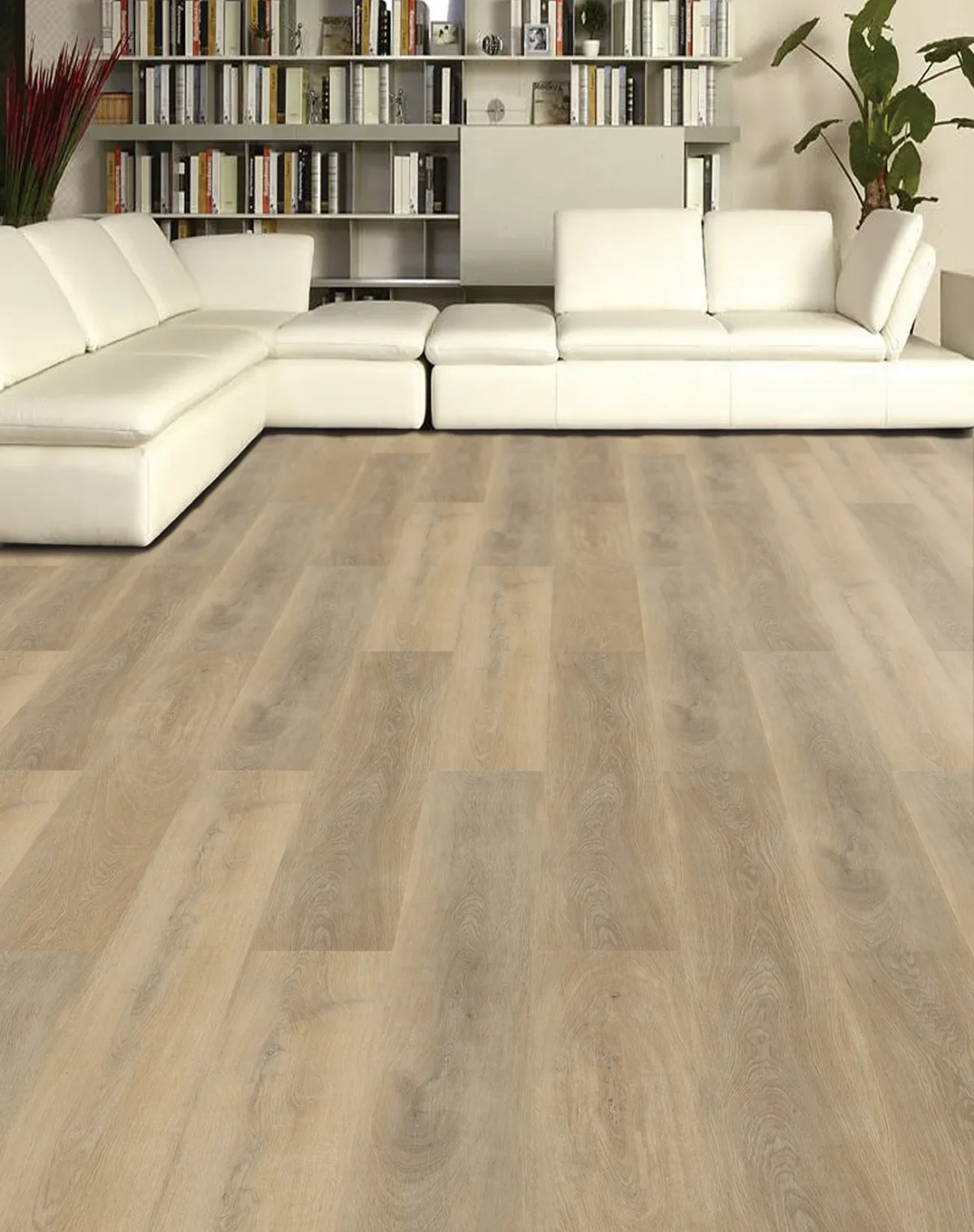 Oak Sofia - Image 2