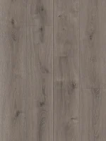 Royal Oak